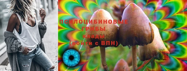 ECSTASY Аркадак